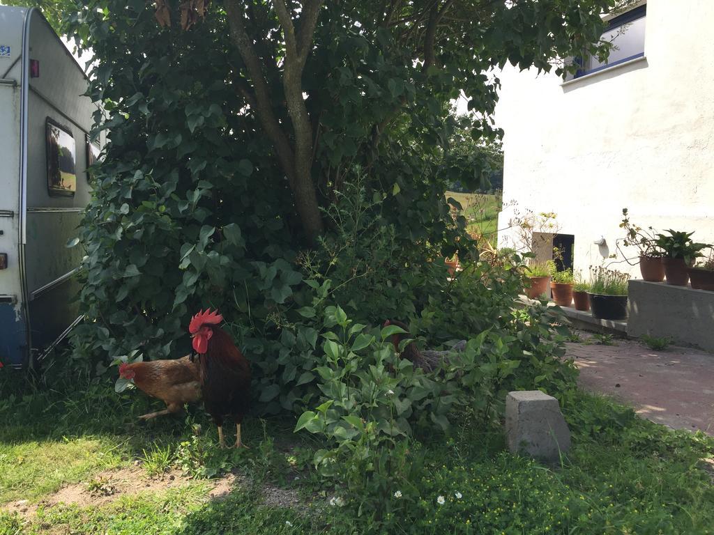 Apartamento Hof Uhleck Am Koenigsstuhl Lohme Exterior foto